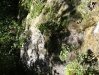 guaconejoago06 - 43